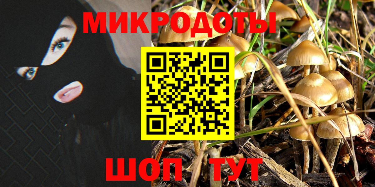 Галлюциногенные грибы мухоморы Городец